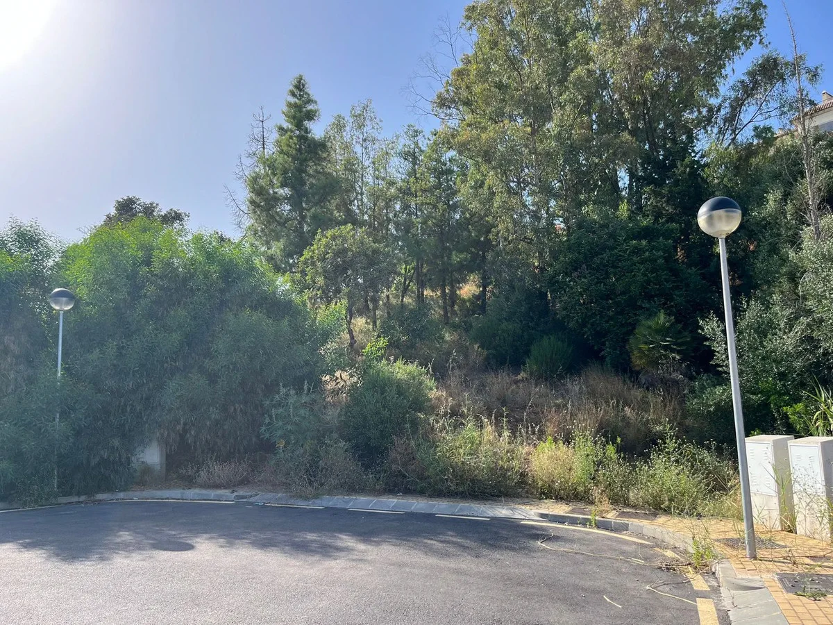 R5054959-1