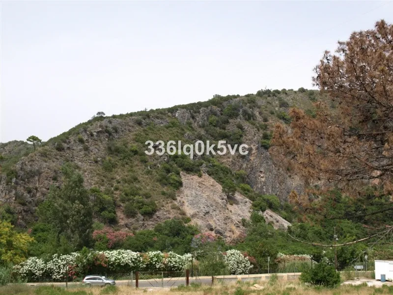 R3736078-1