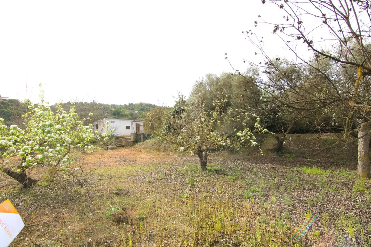 R4284853-1
